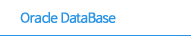 Oracle DataBase